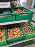 Владимир Дмитриев промониторил цены на овощные культуры
